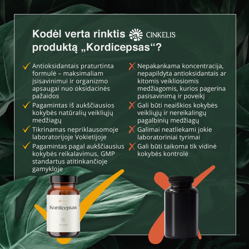 Kordicepsas