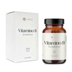 Vitamino B kompleksas