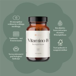 Vitamino B kompleksas