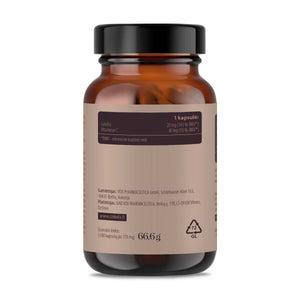 Geležies bisglicinatas + C