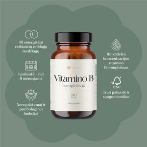 Vitamino B kompleksas