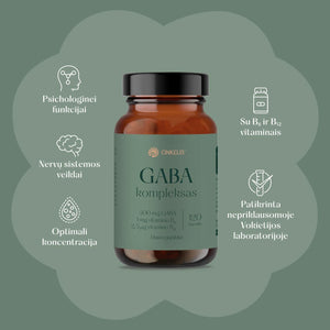 GABA kompleksas